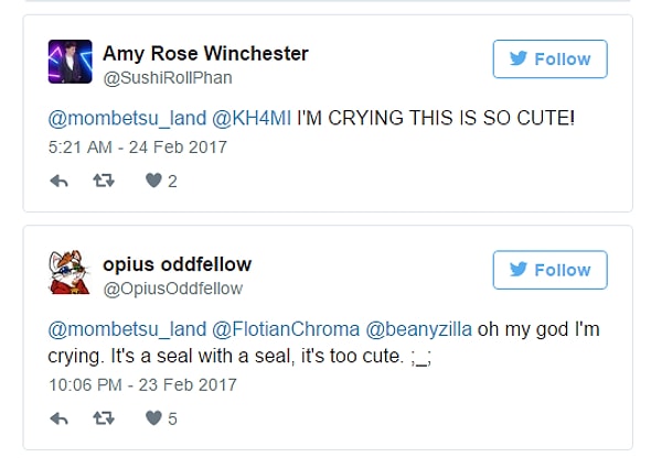 Не думайте, что только мы не смогли устоять перед очаровательной парочкой тюленей.👇👇