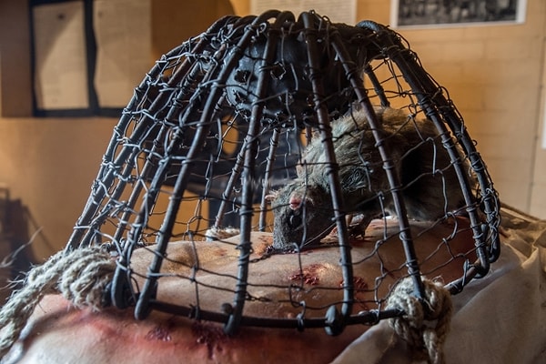 7. При помощи животных