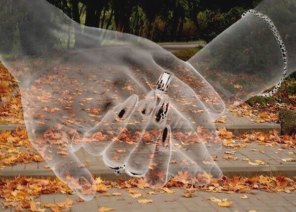 12. Никогда не жалей о том, что сделал, если в этот момент был счастлив.