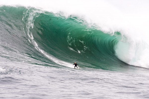 2. Гост Триз (Ghost Trees)