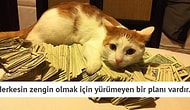 Olumsuzluk Değil Gerçekçiliği Temel Alan 50 Murphy Kanunu