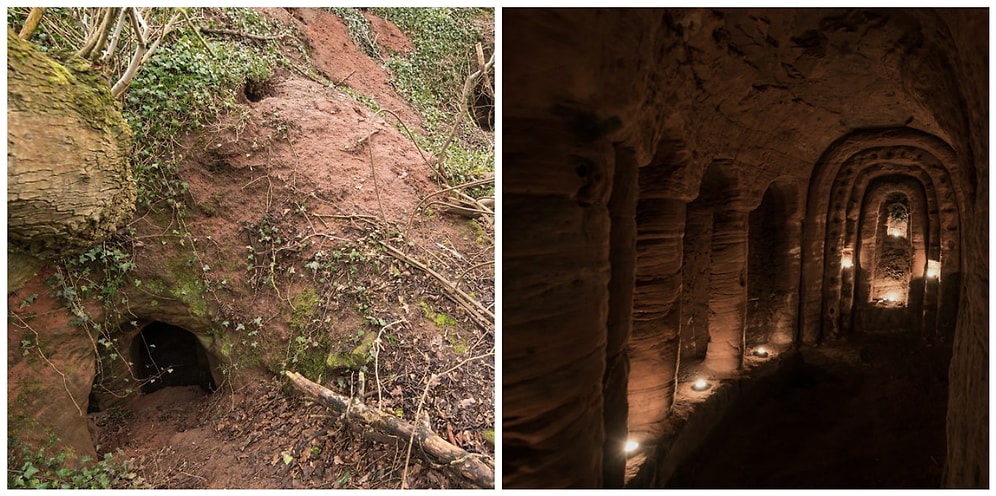 Обычная на вид кроличья нора оказалась 700-летним храмом Тамплиеров!