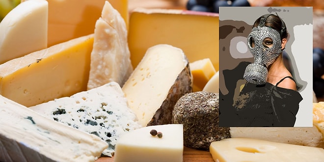 "Элитные зловония" или топ-10 самых пахучих сыров мира