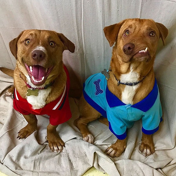 Конечно, о брате Пабло тоже не забыли.