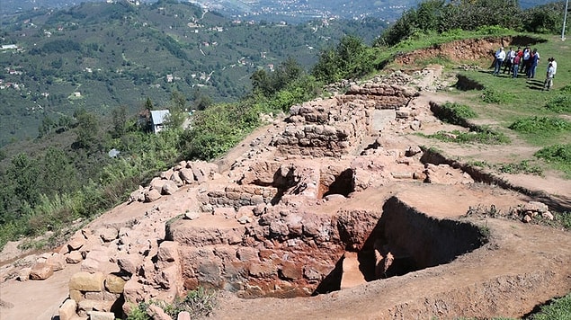 Taş ocağının faaliyetlerine devam etmesini sağlayan kazı başkanına kızgın olan Ordu Çevre Derneği’nin Başkanı Gül Ersan, şöyle isyan ediyor 👇