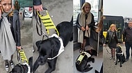 İnsanlık Ölmeyecek! Görme Engelli Kadının Rehber Köpeğiyle Metrobüse Binmesini Sağlayan Adam