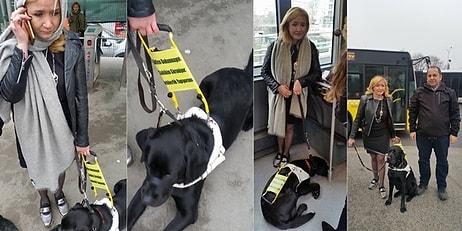 İnsanlık Ölmeyecek! Görme Engelli Kadının Rehber Köpeğiyle Metrobüse Binmesini Sağlayan Adam