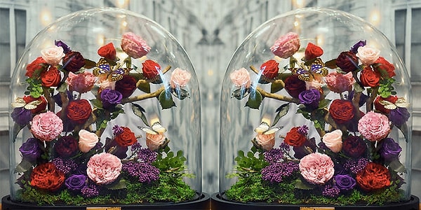 9. Целый сад под колбой