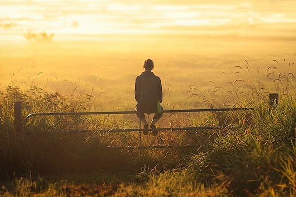 Вы в поисках спокойствия!