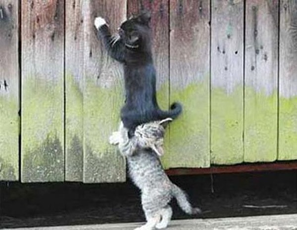 Вы настоящий альтруист!