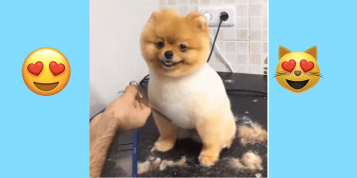 İçinizi Güneş Gibi Isıtarak Haftanızın Harika Geçmesini Sağlayacak 17 Gülümseten Paylaşım