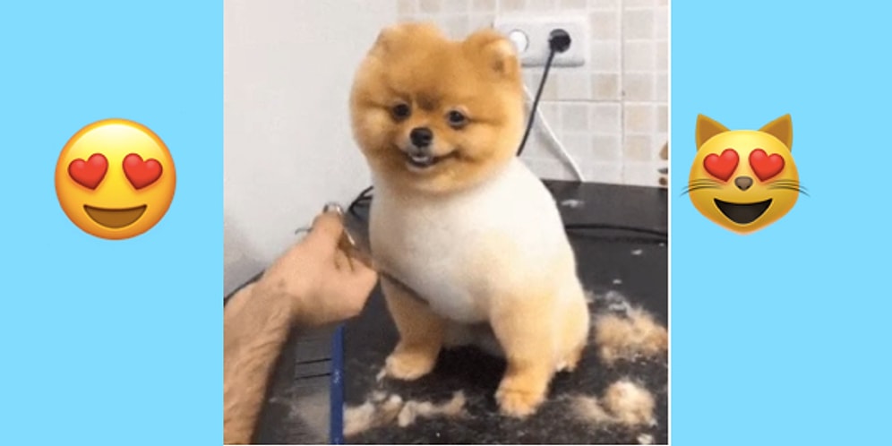 İçinizi Güneş Gibi Isıtarak Haftanızın Harika Geçmesini Sağlayacak 17 Gülümseten Paylaşım