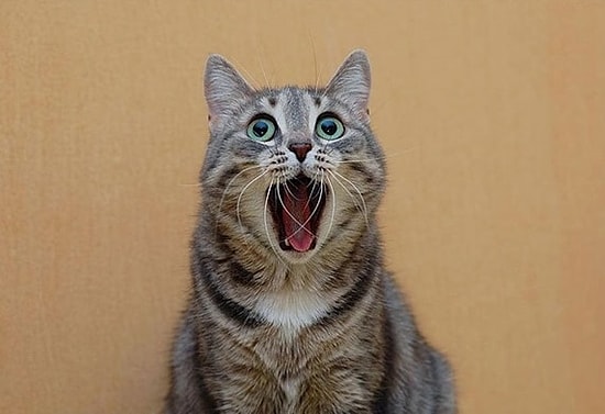 5 лучших статей с onedio.ru за понедельник!