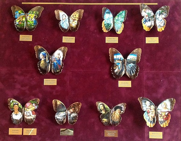 «Когда я был ребенком, я всегда поражался разноцветью крыльев бабочек и их удивительной раскраске, и когда я стал старше, мое восхищение, а с ним и увлечение, никуда не исчезло»