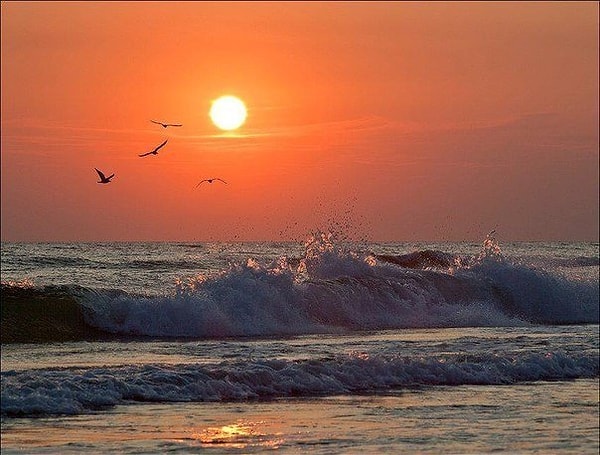 22. Счастливый человек - это тот, кто не жалеет о прошлом, не боится будущего и не лезет в чужую жизнь.