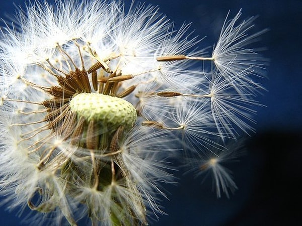 29. Самое естественное, что есть в этом мире, — перемены. Живое не может быть застывшим.
