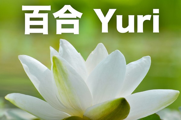 百合 - Yuri