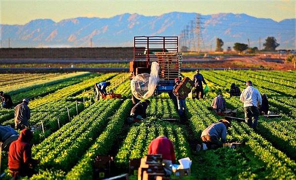 Verilere göre tarım dışı işsizlik oranı yüzde 15 seviyelerine ulaştı.