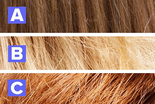 7. Которые из представленных волос принадлежат лошади? Остальные два варианта принадлежат людям.