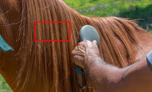 Показать правильный ответ