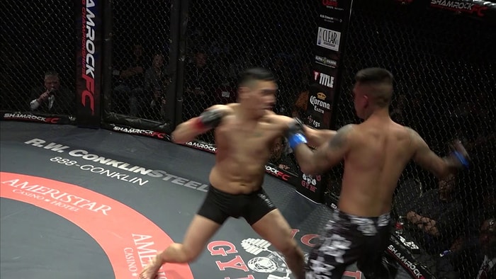 Aynı Anda Nakavt Olan MMA Dövüşçüleri