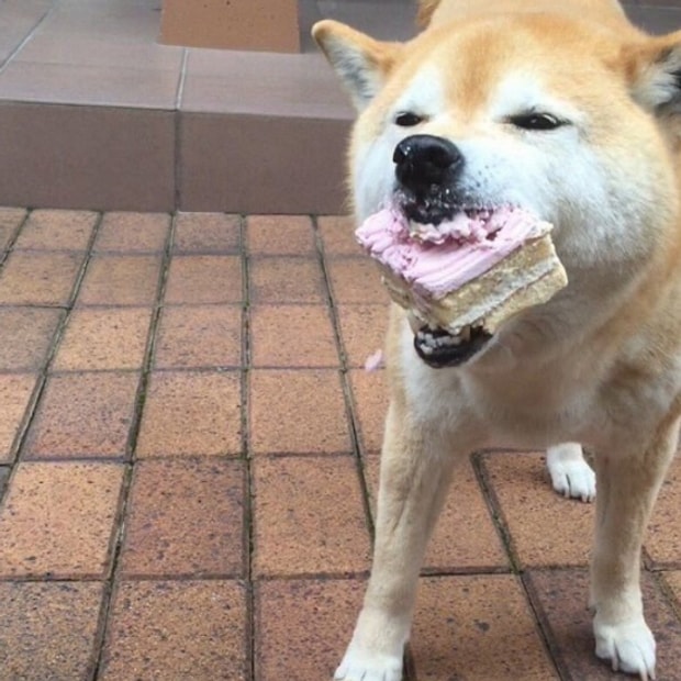 Regl Donemini Tecrube Eden Herkesin Duygularina Tercuman Olacak 33 Gorsel Regl Donemini Tecrube Eden Herkesin Duygularina Tercuman Olacak 33 Gorsel