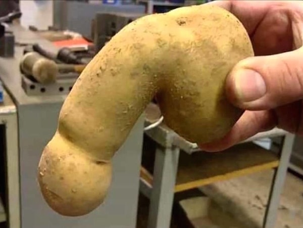 15. Мужчины же часто обращаются с проблемами с эрекцией и эякуляцией