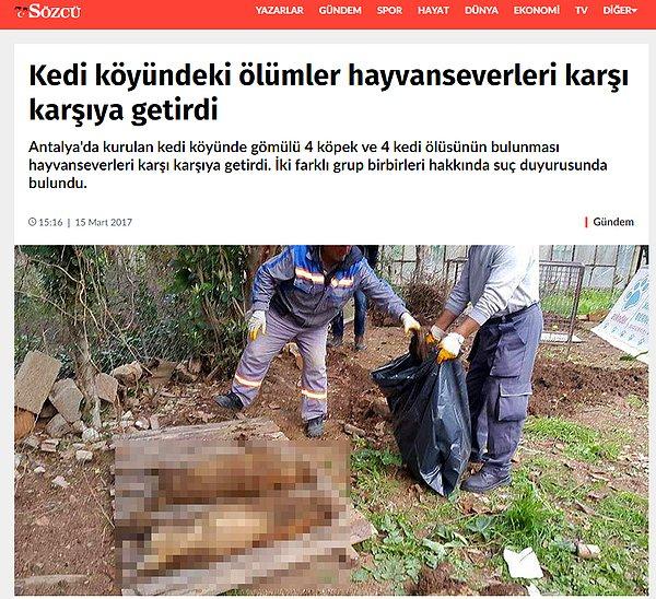 8. Askoder başkanı Mehmet Orhan iddiaları yalanladı köpek ölümleri için arsa sahibini suçladı.
