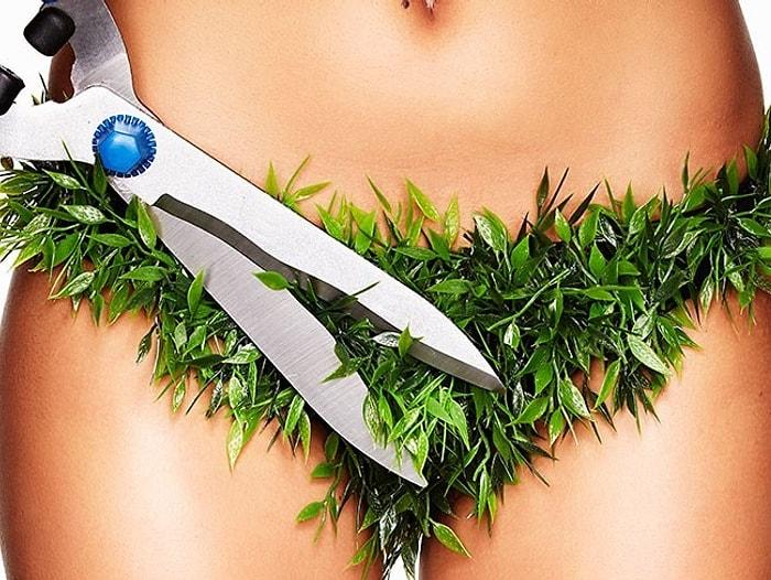 14 WTF Facts About Female Pubic Hair You Probably Didn’t Know