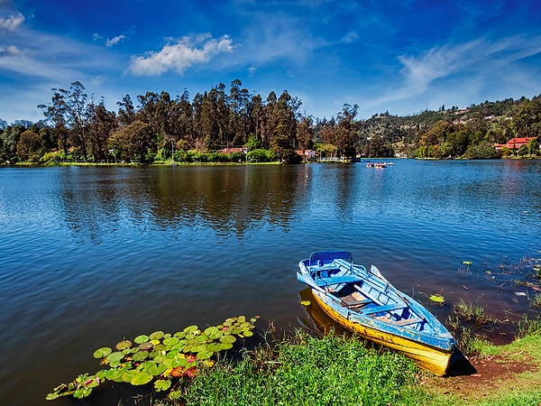 21. Разве есть в мире что-то еще менее привлекательное?