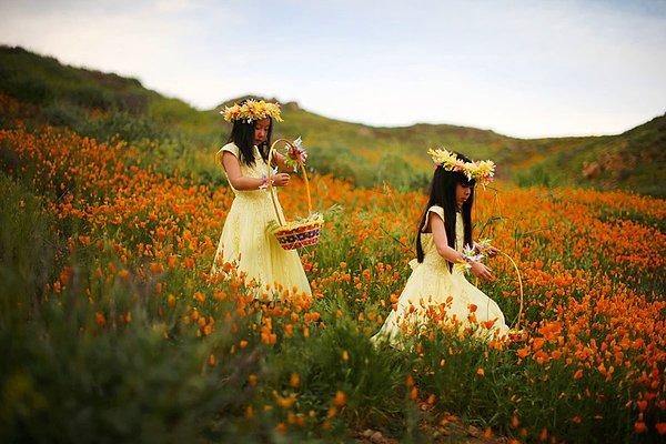13. California, Elsinore Gölü kıyısında bahar çiçeklerinin arasında yürüyen 5 yaşındaki kızlar Julia Lu ve Amy Liu.