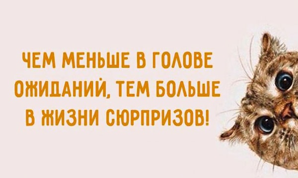 20. И наконец, не ожидайте слишком многого, это убережёт вас от ненужных разочарований.