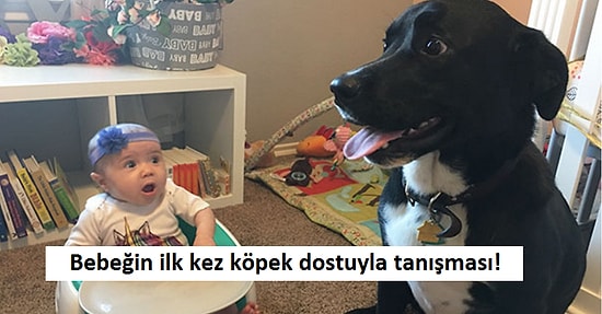 Hayatlarında İlk Defa Yaşadıkları Tecrübelere Birbirinden Güzel Tepkiler Veren 34 İnsan