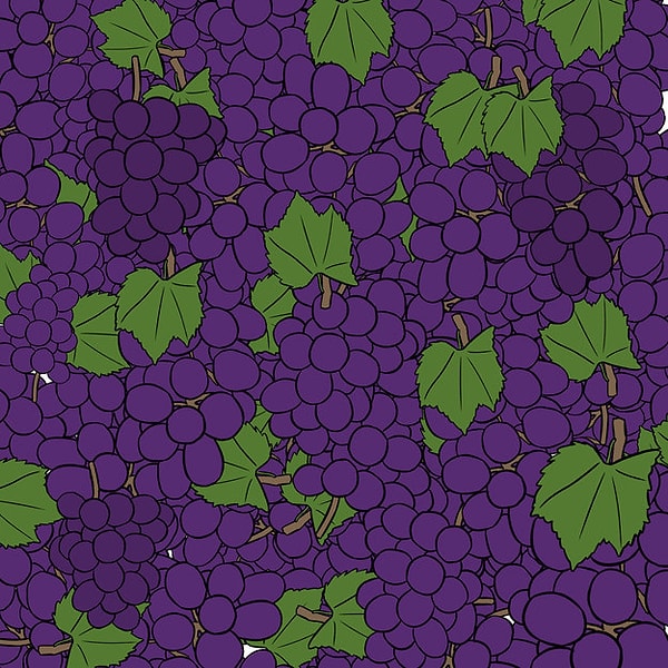 1. Давайте начнем с винограда: какое количество гроздей винограда темнее остальных?