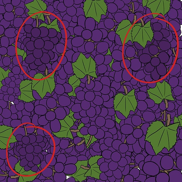 Показать правильный ответ