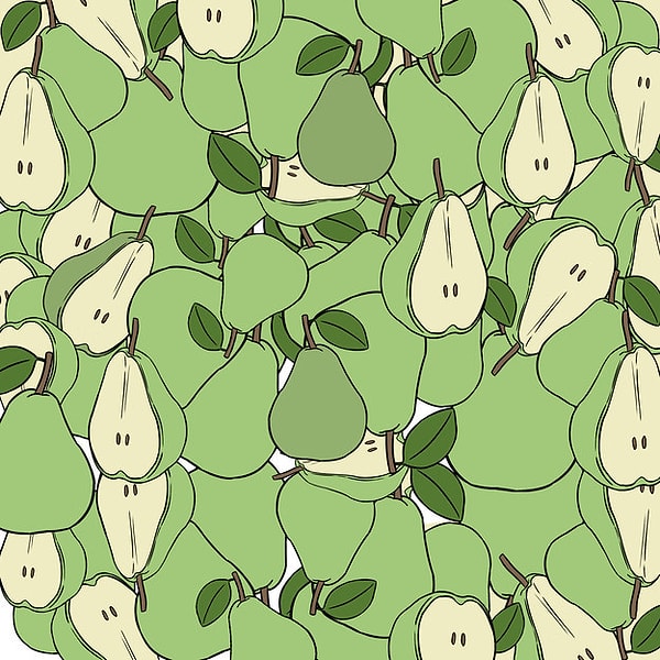 2. Присмотритесь теперь к грушам: сколько груш отличается здесь по цвету?