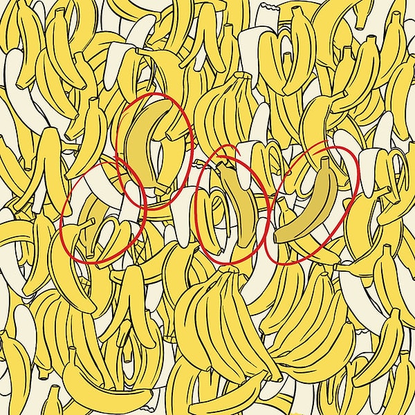 Показать правильный ответ