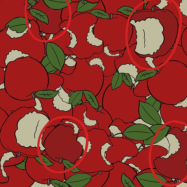 Показать правильный ответ