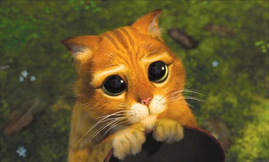 Этот тест с вероятностью 95% угадает уровень вашей невинности!