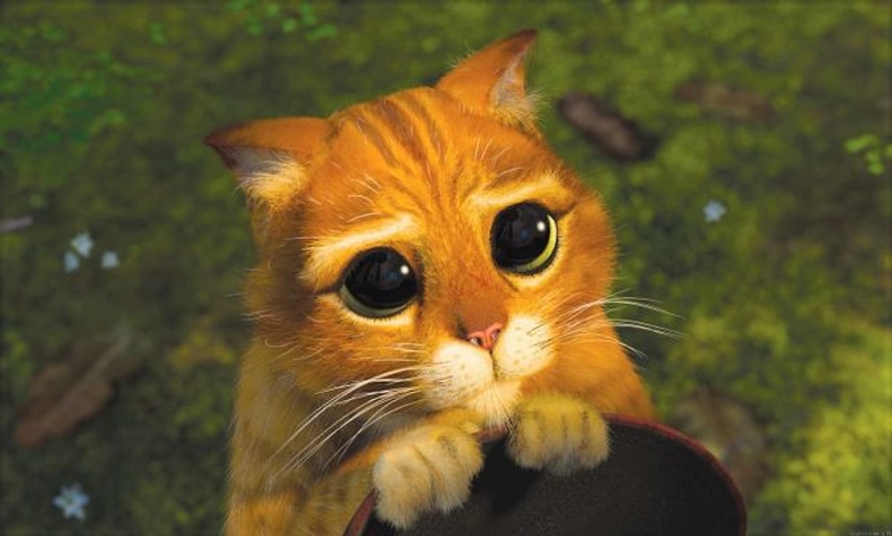 Этот тест с вероятностью 95% угадает уровень вашей невинности!