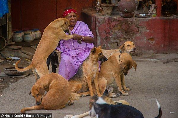 Pratima Devi Yeni Delhi şehrinin bir gecekondu mahallesinde 120 köpeği ile birlikte yaşıyor ve onları doyurmak için eskicilik yapıyor.