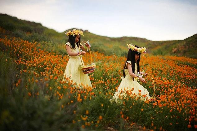 13. Five-year-olds Julia Lu and Amy Liu walk through a massive spring wildflower bloom caused by a wet winter in Lake Elsinore, California, on March 14.