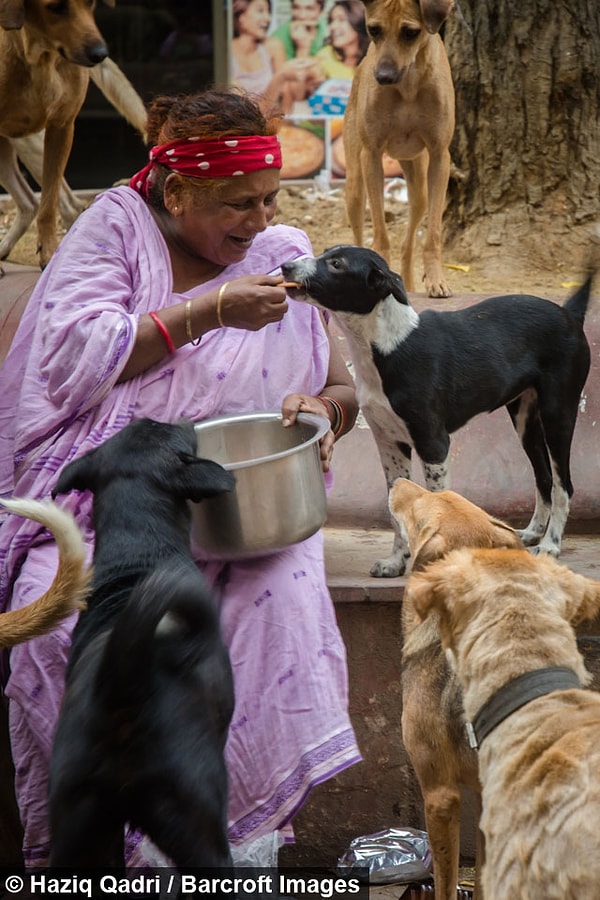 3. Чтобы прокормить своих питомцев, она собирает всякий хлам и продает его, часто оставаясь при этом голодной