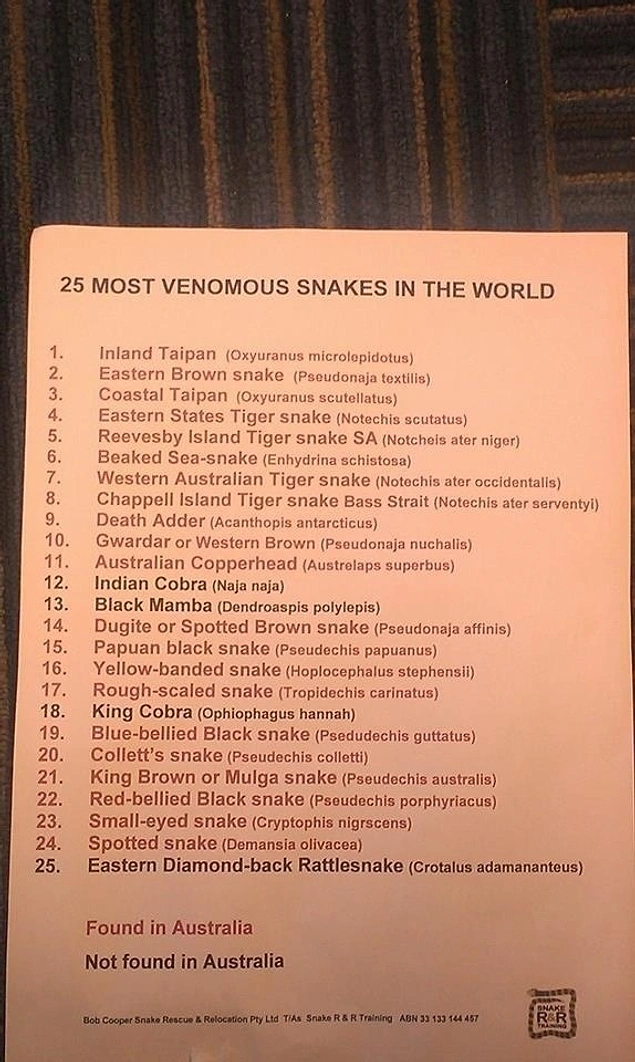 Fakat Avustralya'nın dünya üzerindeki en zehirli 25 yılan türünden 21 tanesine ev sahipliği yaptığını biliyor muydunuz?