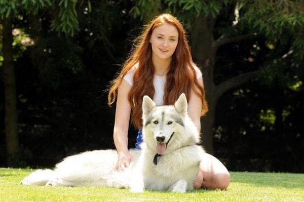 9. "Game of Thrones"ta Sansa Stark'ı canlandıran Sophie Turner, dizideki bu sevimli kurdu sahiplenmiş.