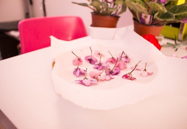 7. Сначала аккуратно отсоедините цветки от стебельков и положите их на бумажное полотенце "лицом" вниз. Накройте соцветия сверху еще одним кусочком бумажного полотенца и положите сверху вторую тарелку. После чего поставьте цветы в микроволновку на 30 секунд