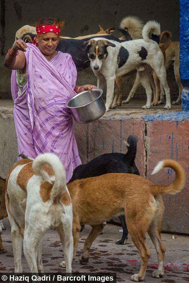 Pratima spends her days feeding and nursing the dogs when they’re injured.