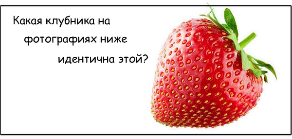 3. Скоро же лето, потренируйтесь пока на этой клубнике: