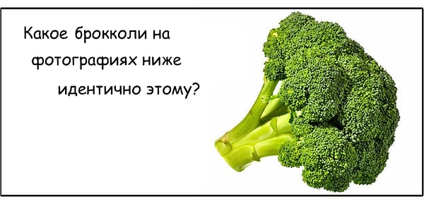 9. Осталось совсем немного: