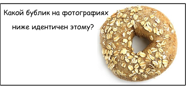 8. Вы почти справились, продолжайте: